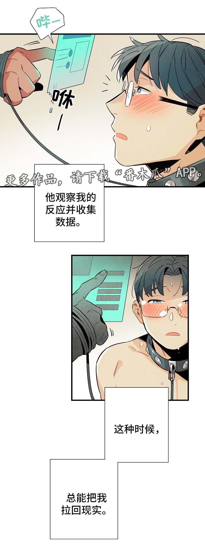 第33章：拉回现实