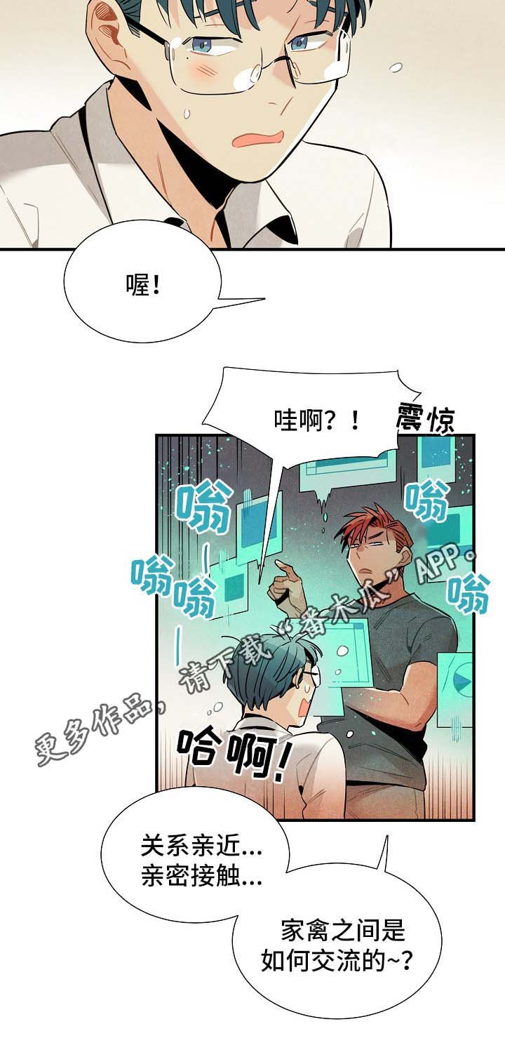 第36章：配对