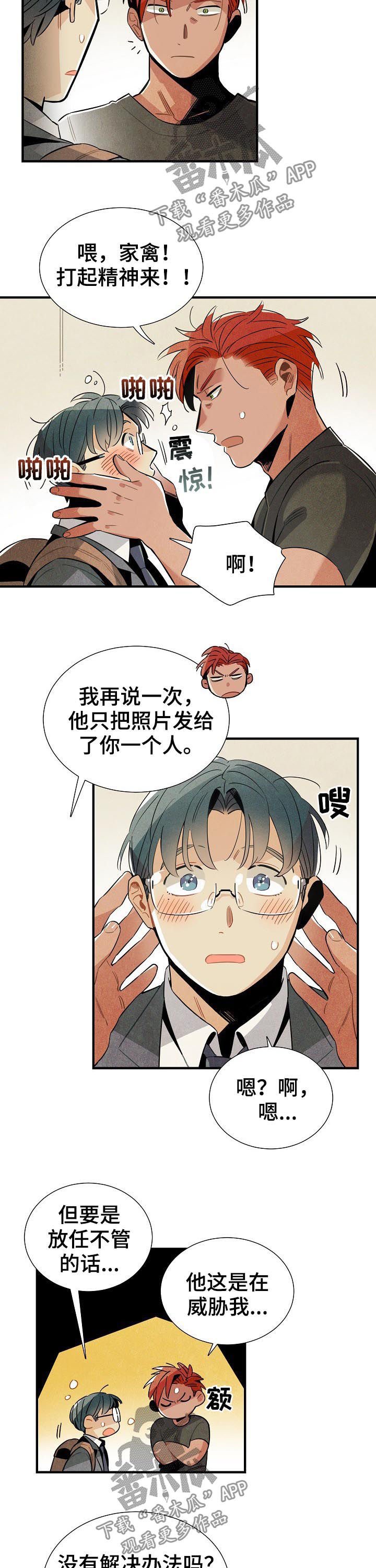第77章：我不是家禽