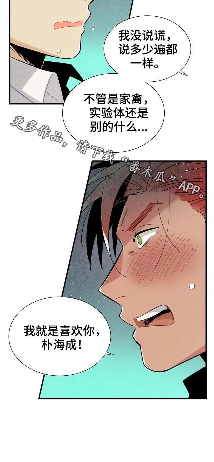 第86章：我就是喜欢你
