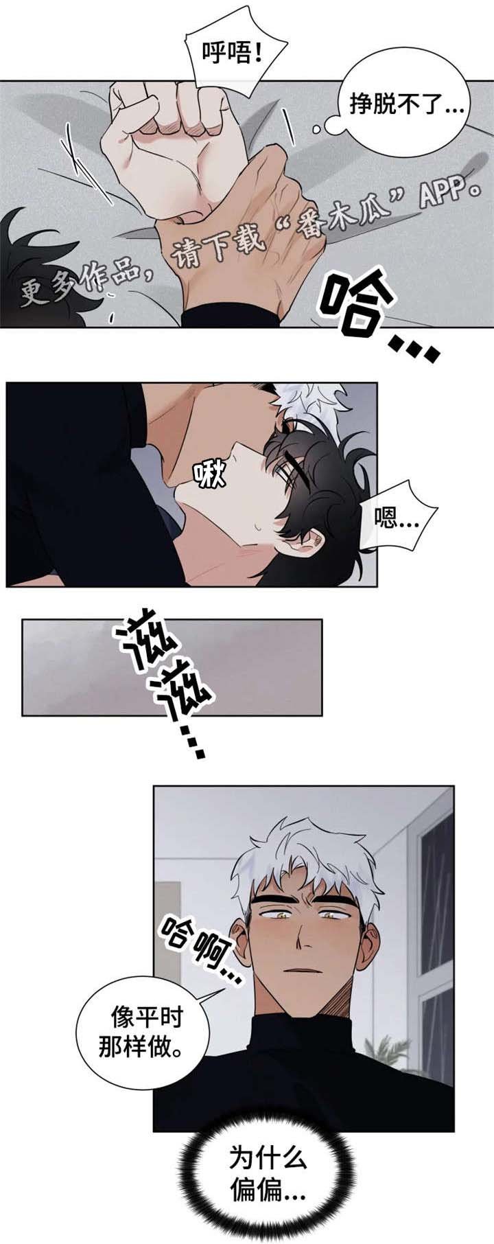 第17章：质问