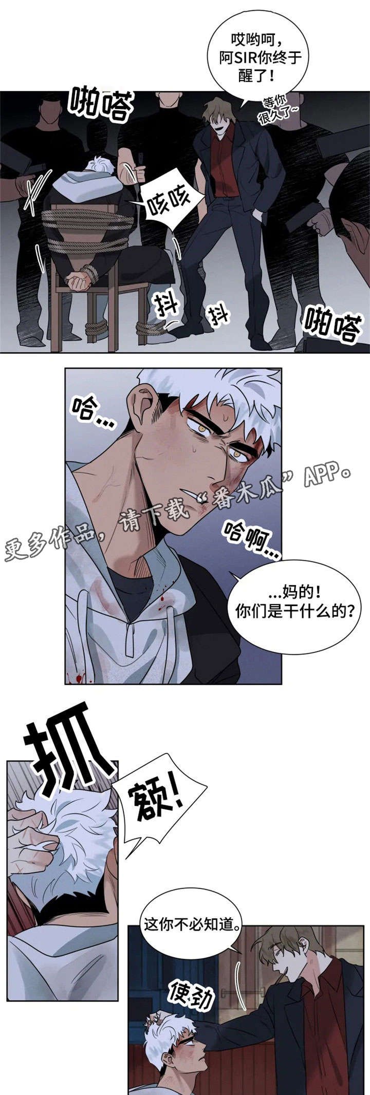 第19章：绑架