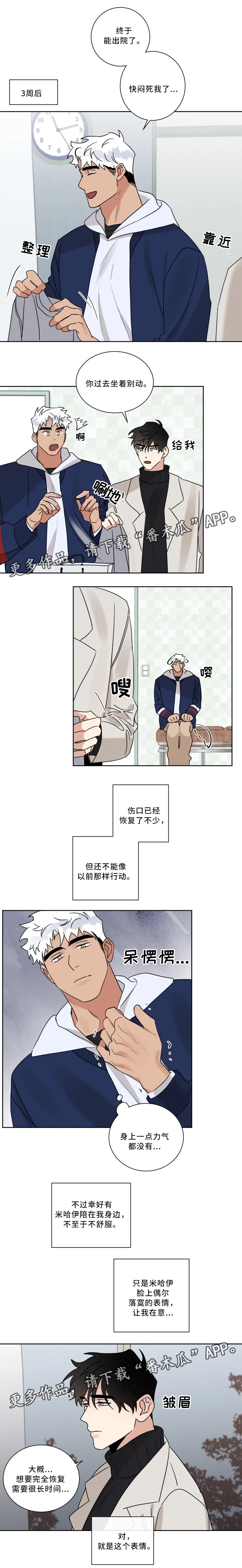 第31章：一起回家
