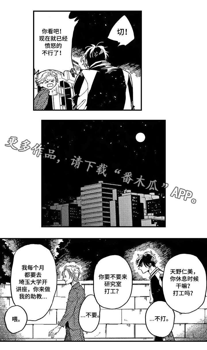 第12章：不会打你