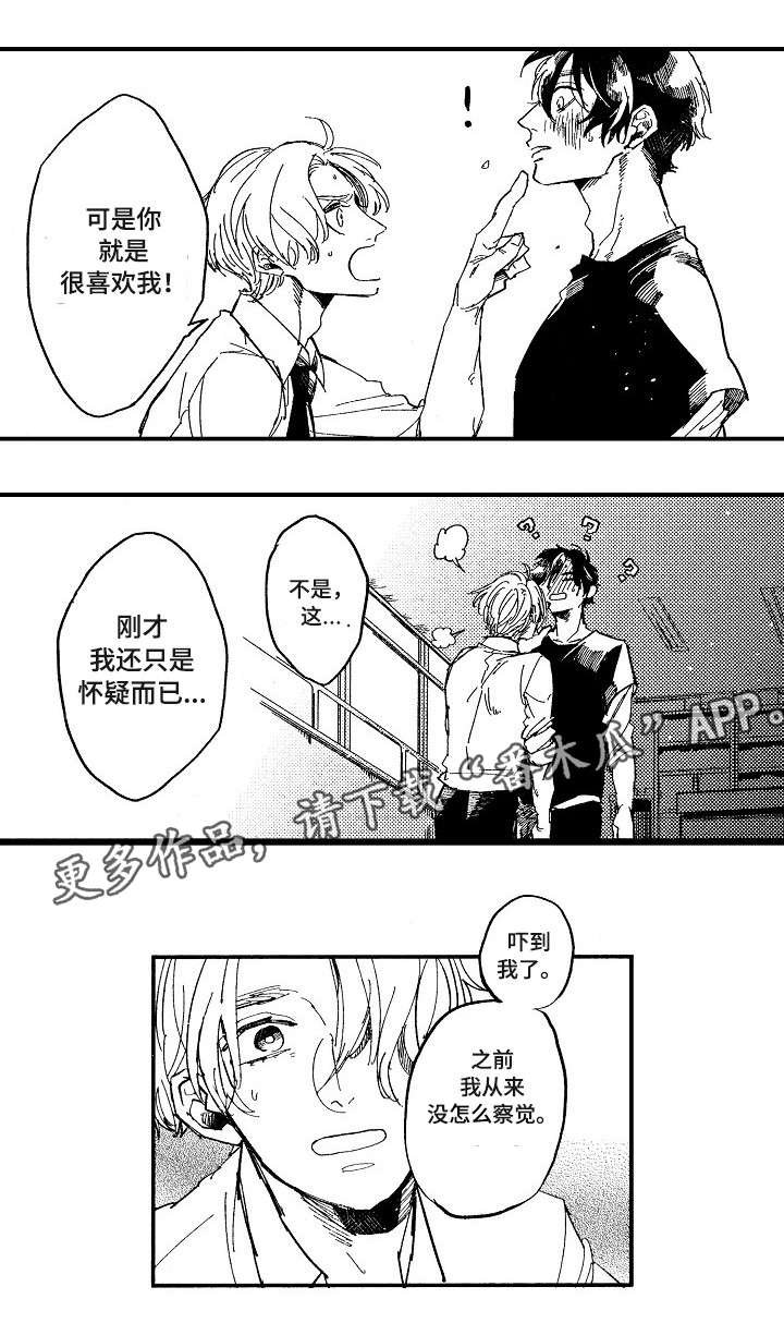第19章：追逐