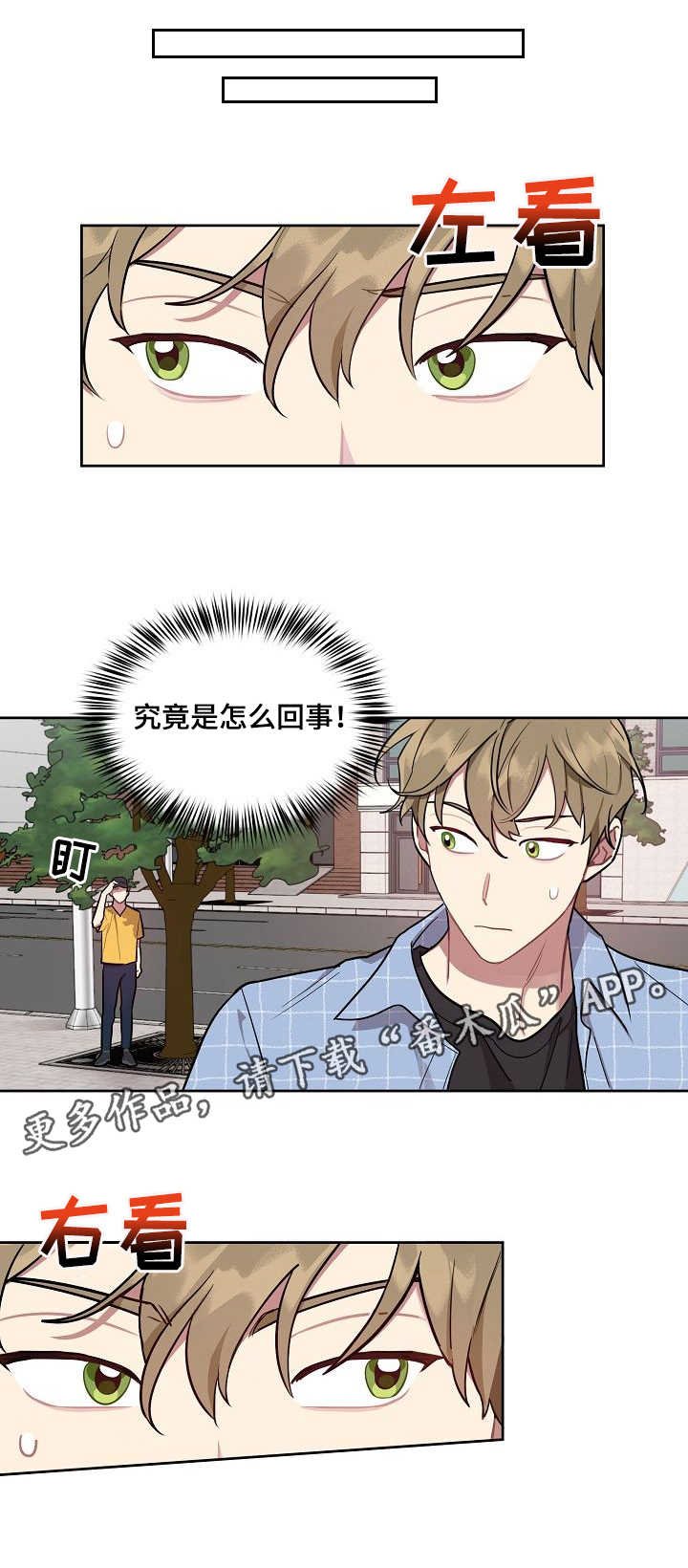 第12章：产品报告