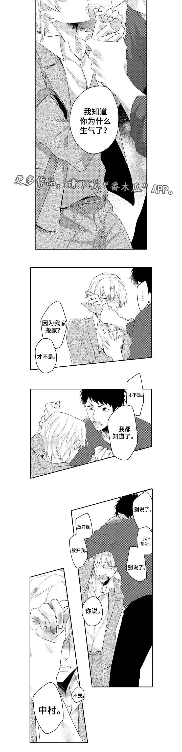 第19章：我的心意