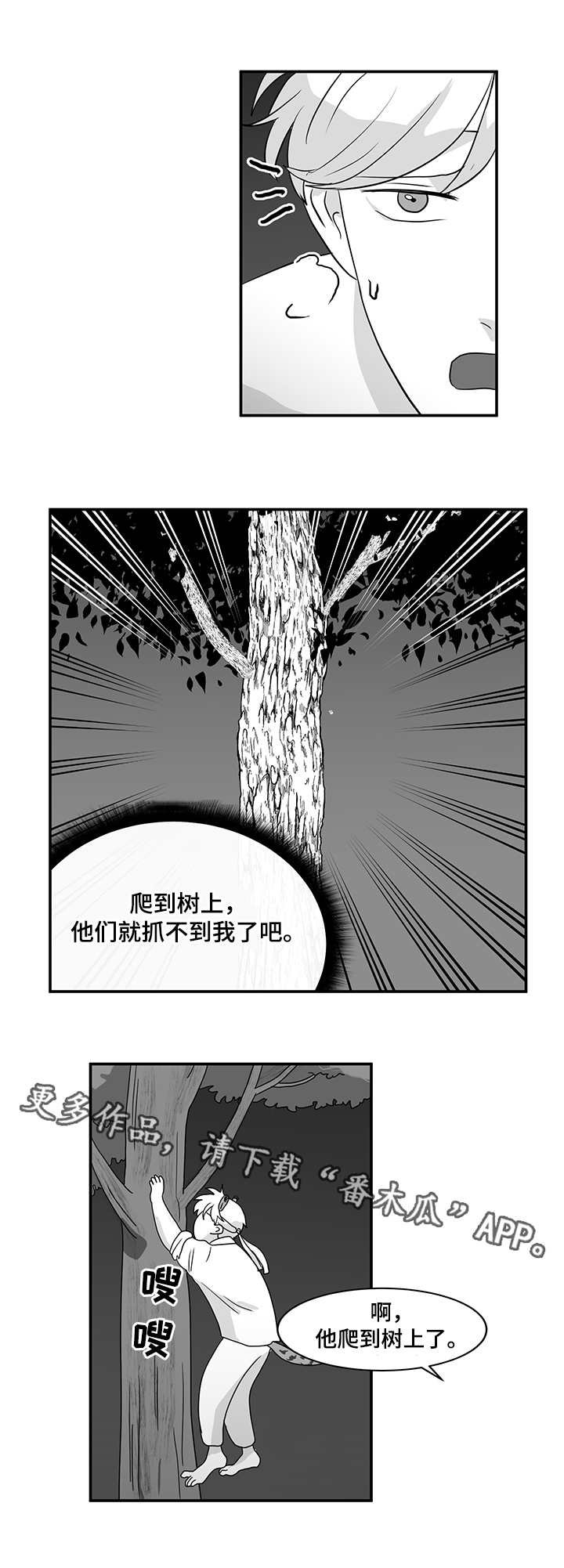 第11章：藤条