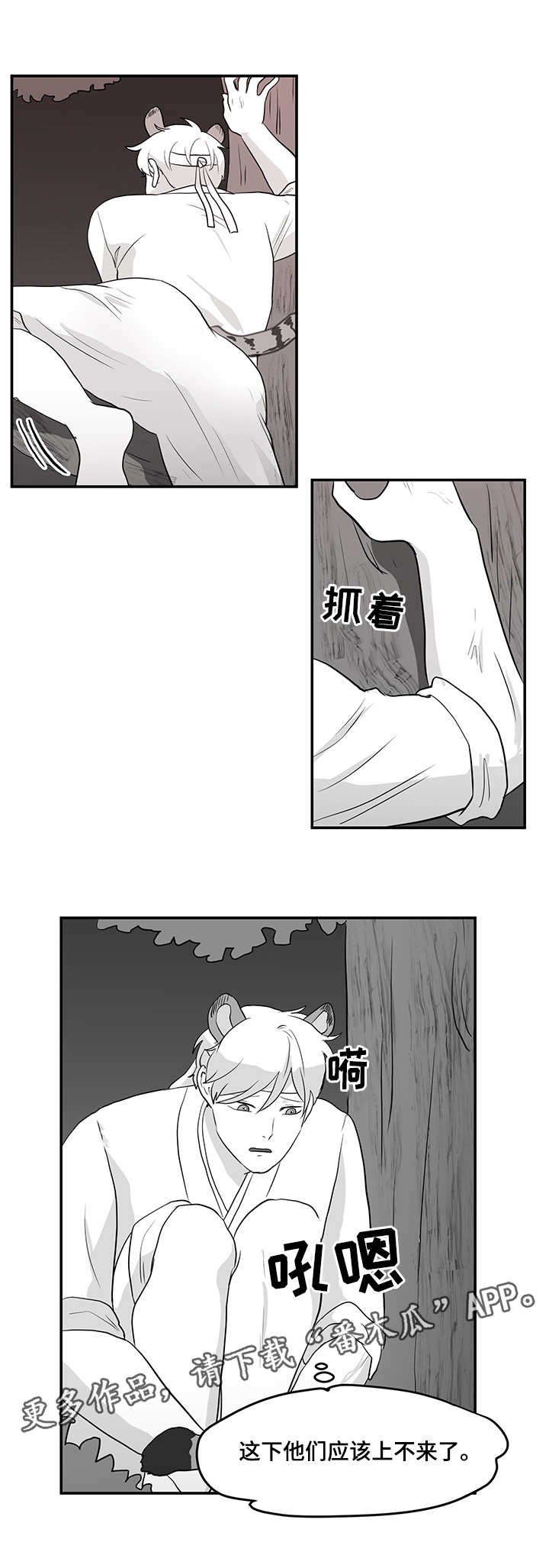 第11章：藤条