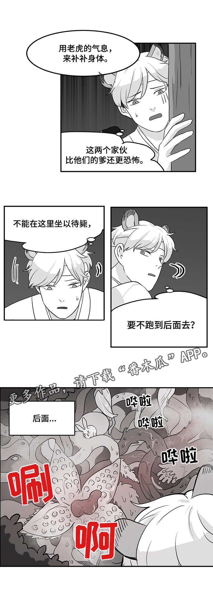 第11章：藤条