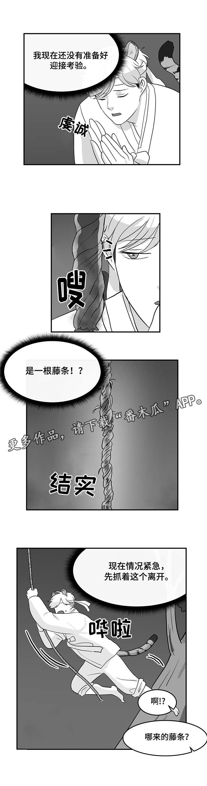 第11章：藤条