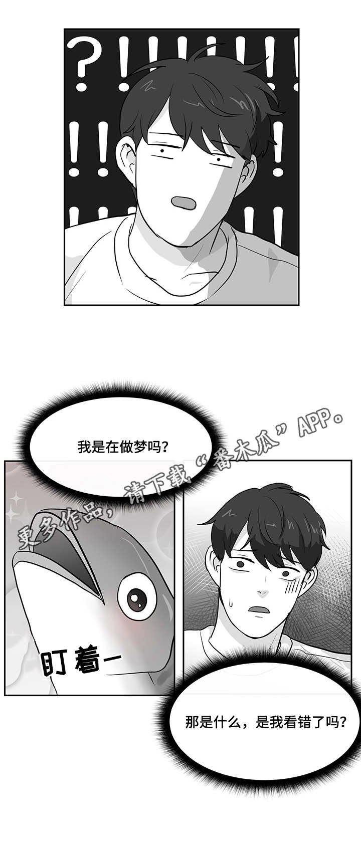 第14章：青花鱼