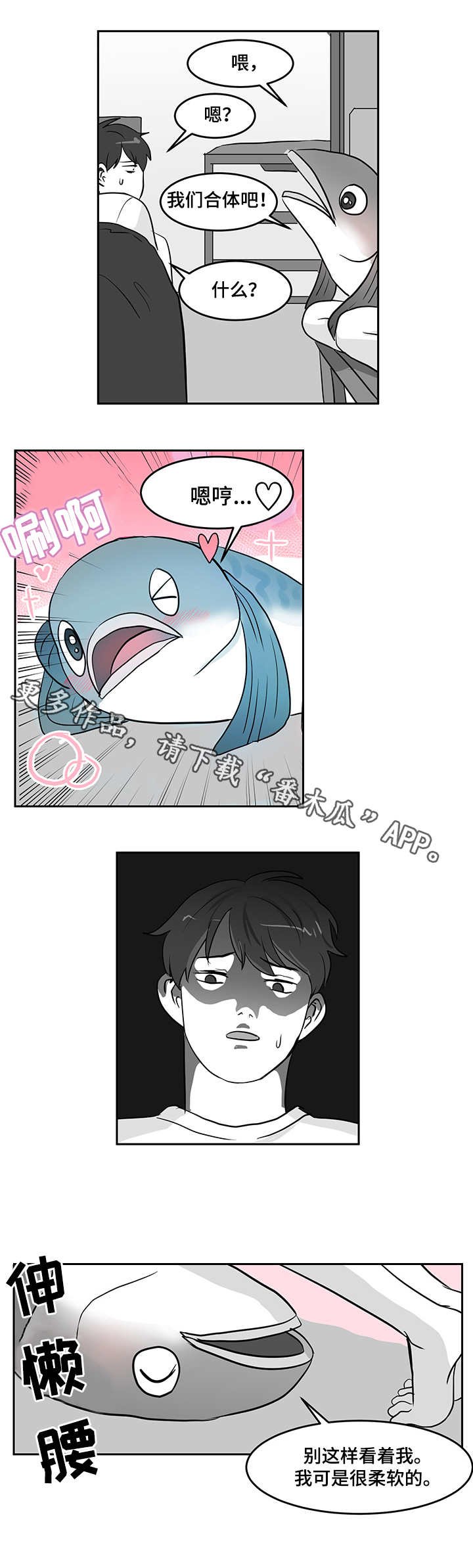 第14章：青花鱼