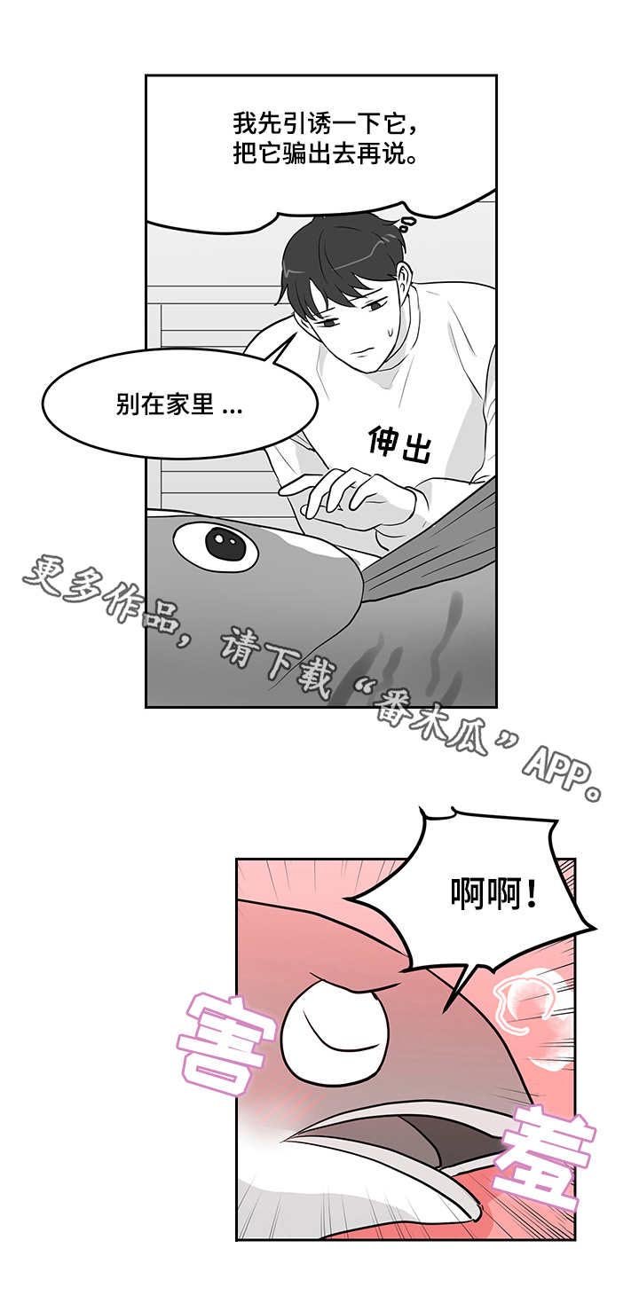 第14章：青花鱼