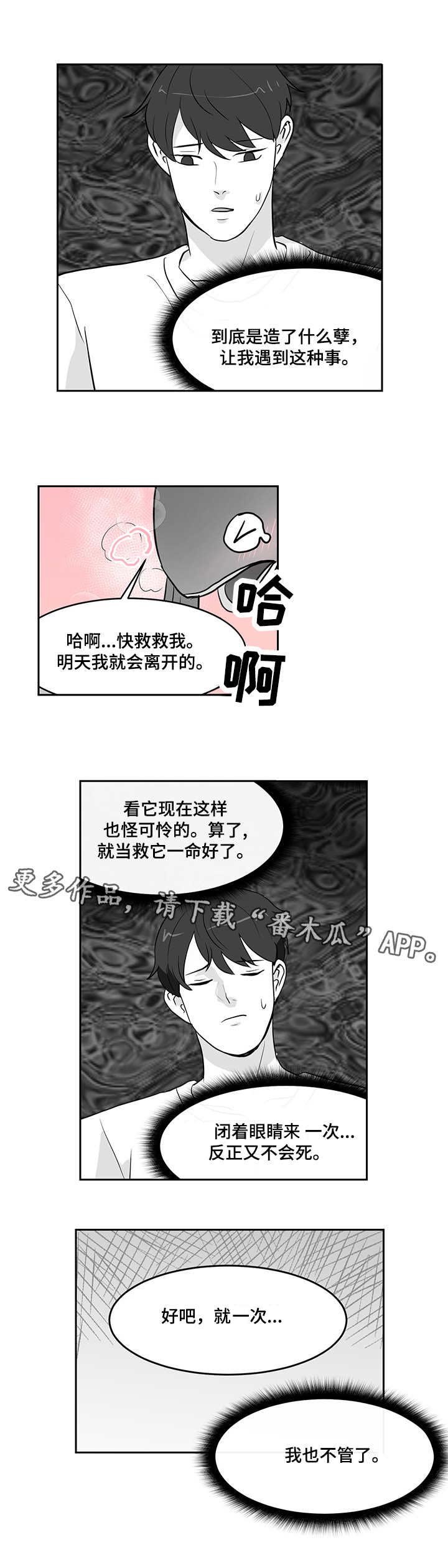 第15章：心软