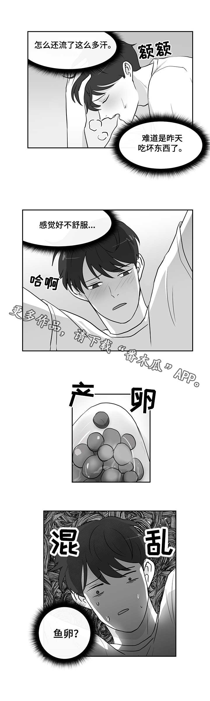 第16章：鱼卵
