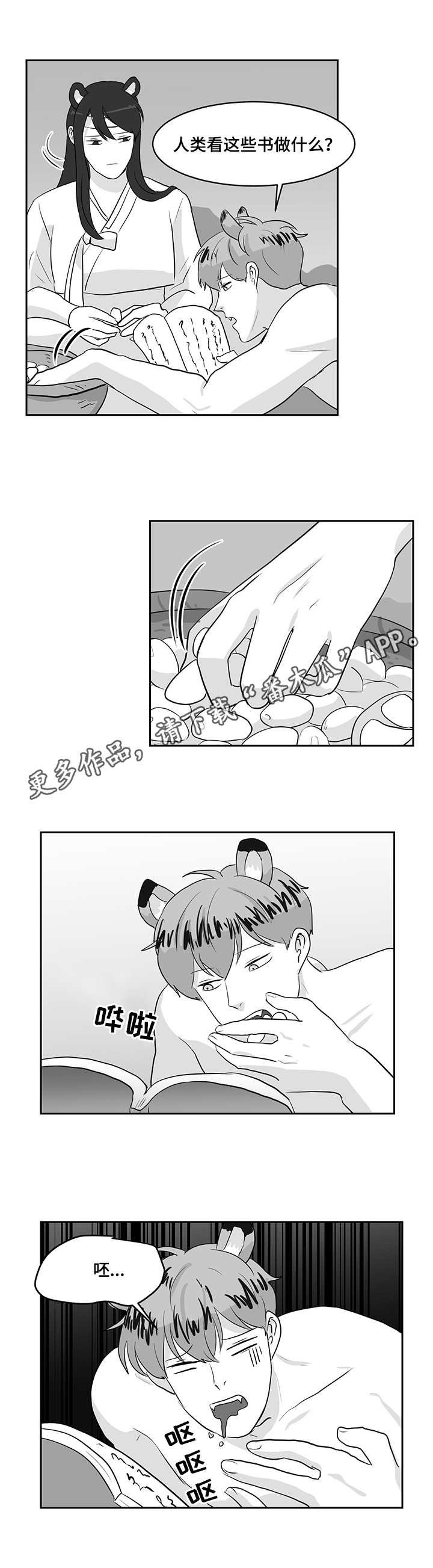 第22章：熊与虎