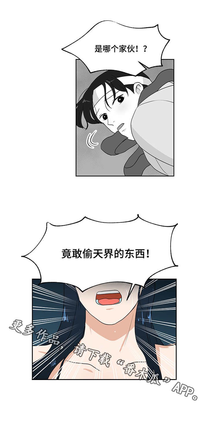 第33章：仙女