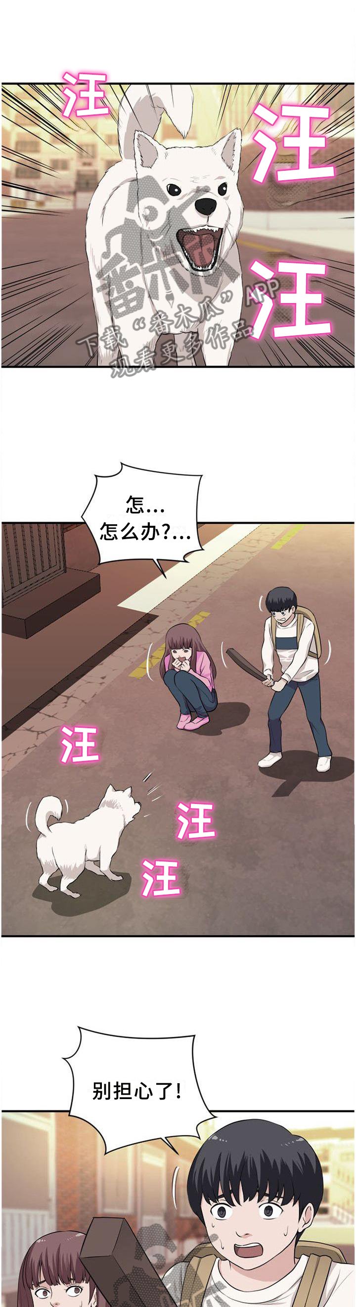 第43章：口嫌体正直