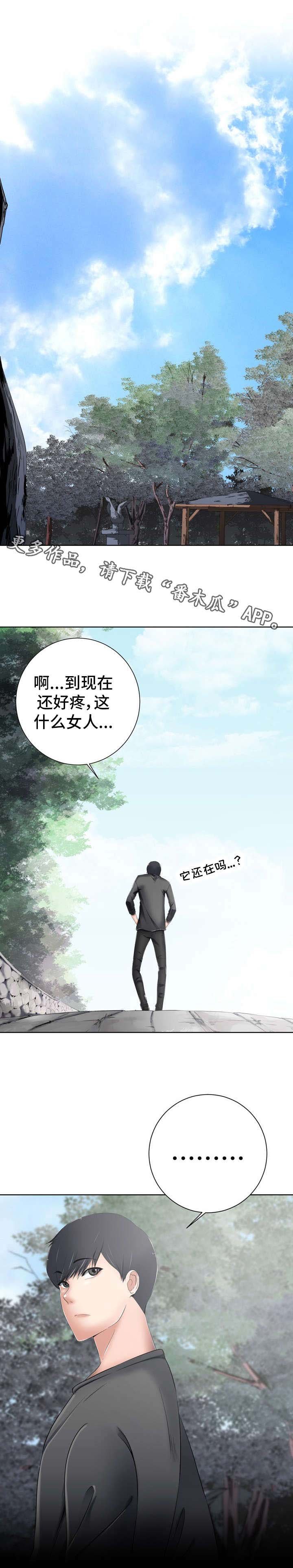 第15章：心跳