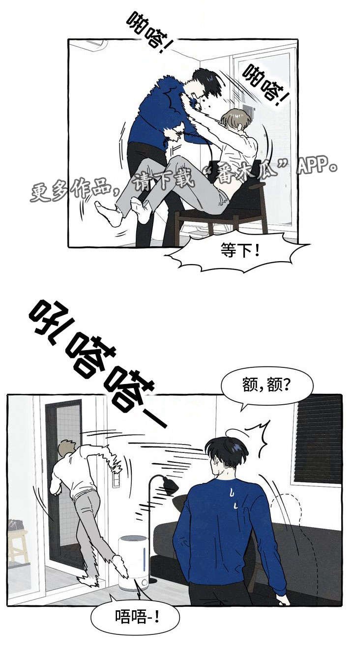 第10章：喜欢