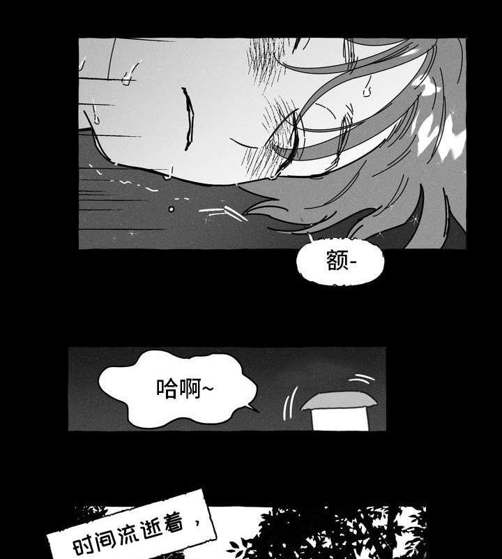 第13章：命中注定
