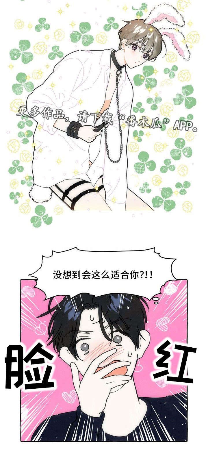 第17章：适合