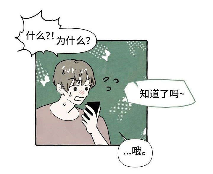 第29章：照片