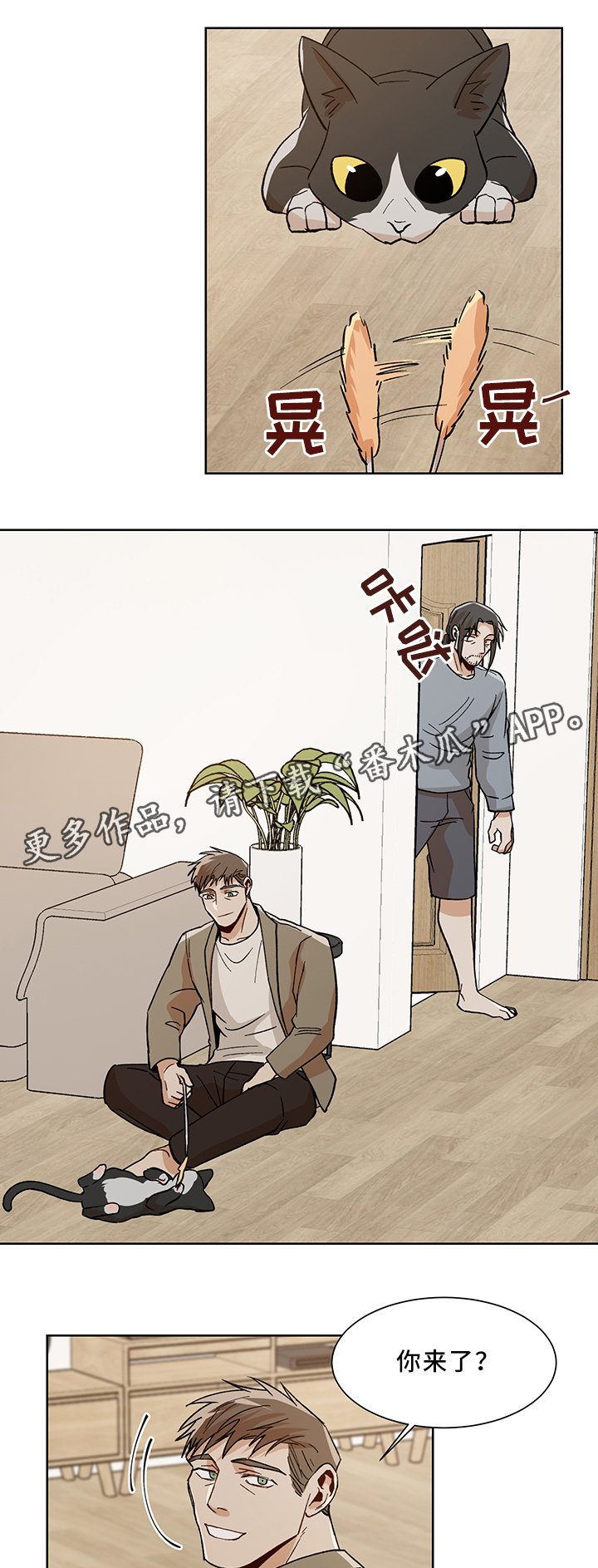 第43章：魅力