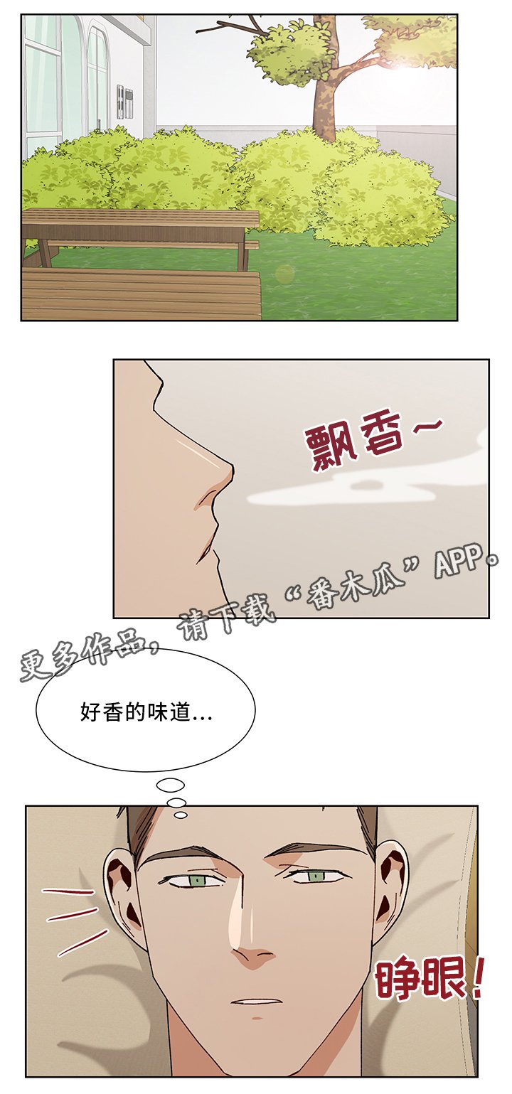 第50章：再见啦 哥