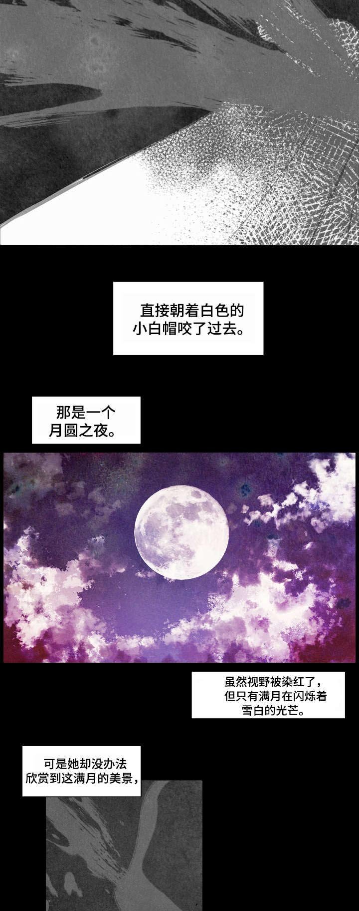 第1章：小白帽
