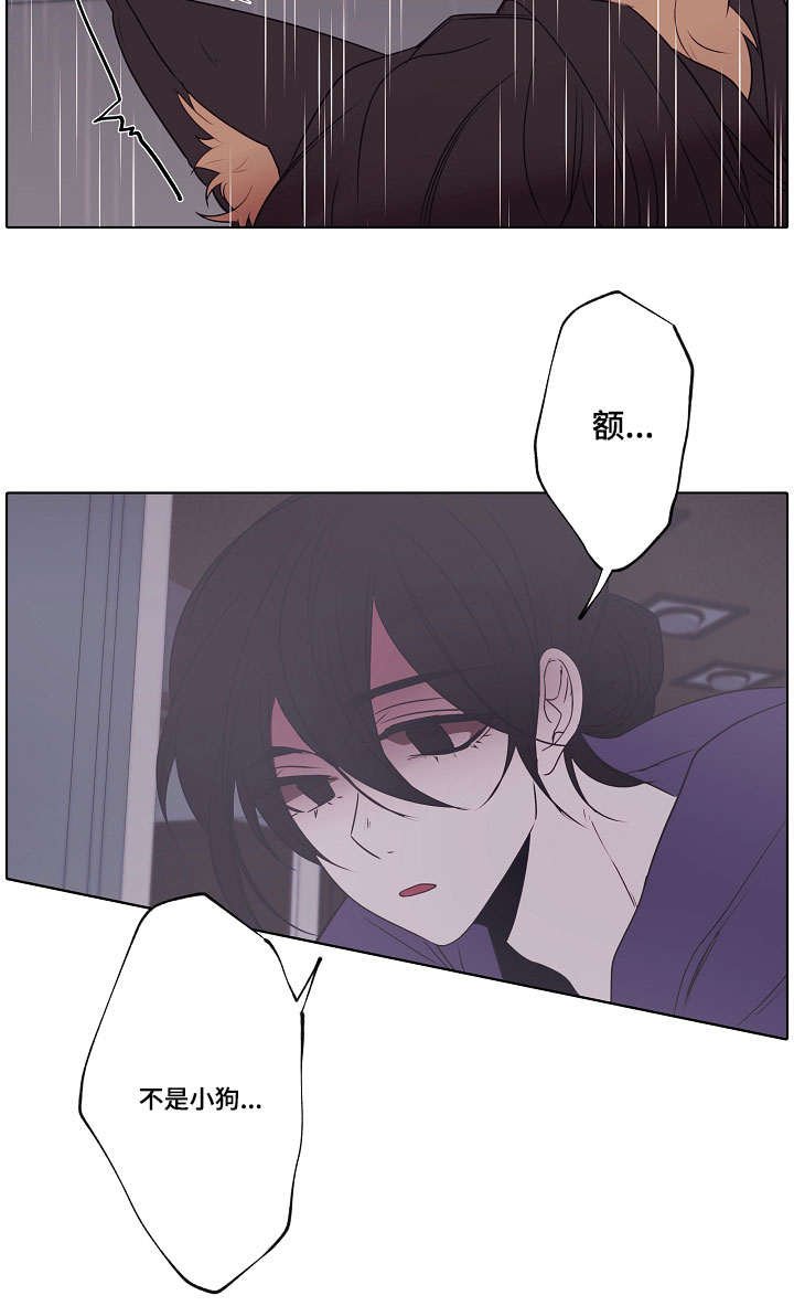 第1章：小白帽
