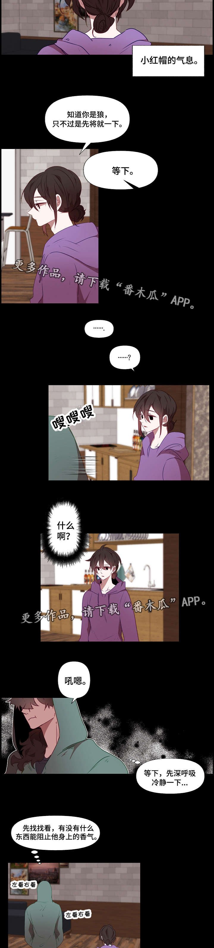 第15章：遮盖