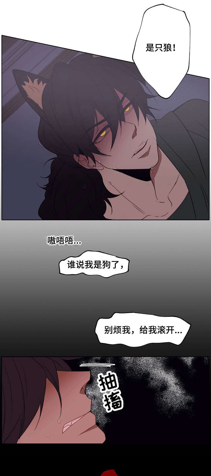 第2章：是只狼