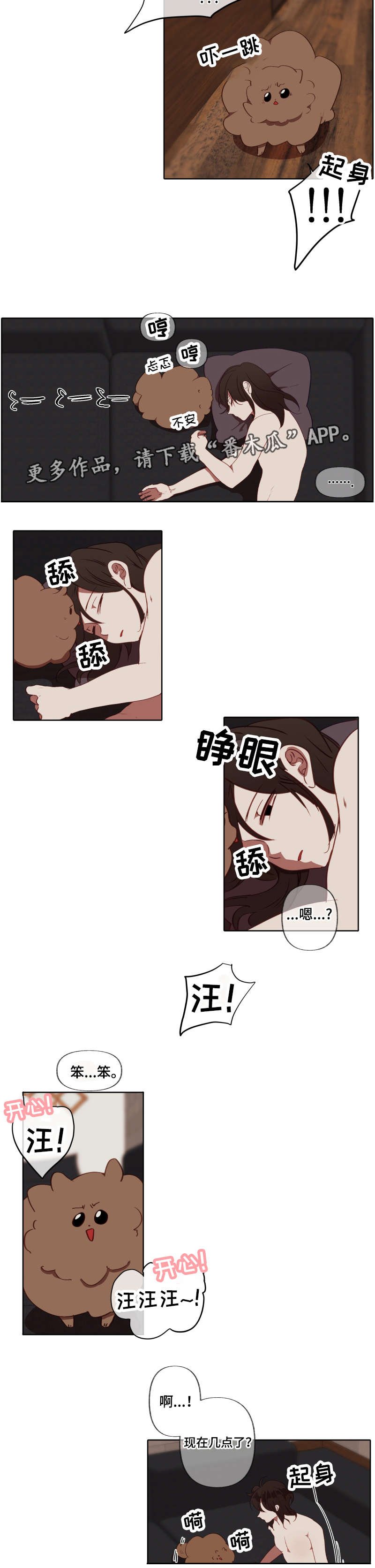 第20章：指引