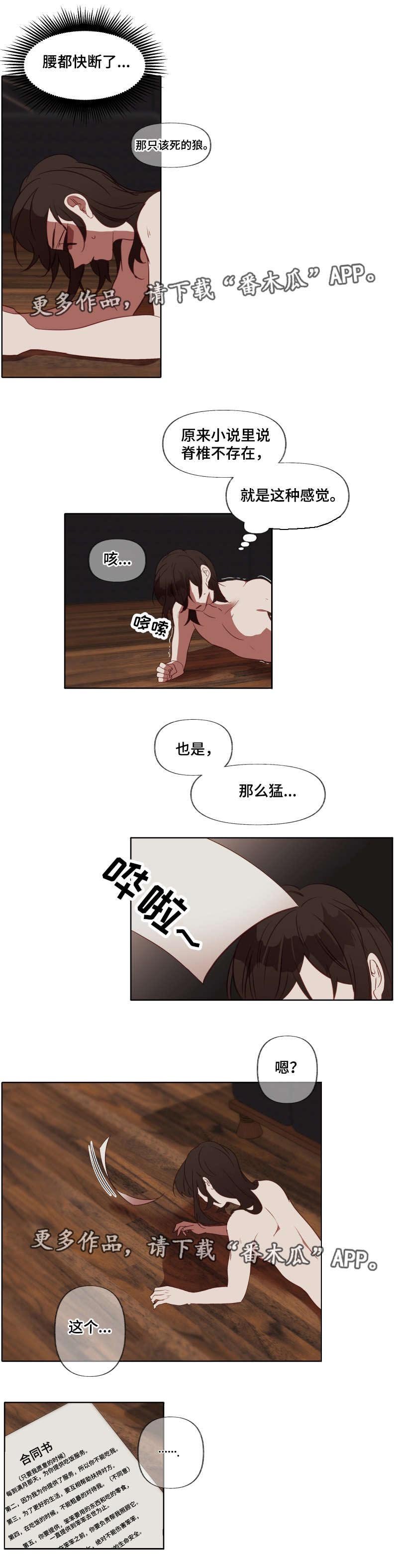 第20章：指引