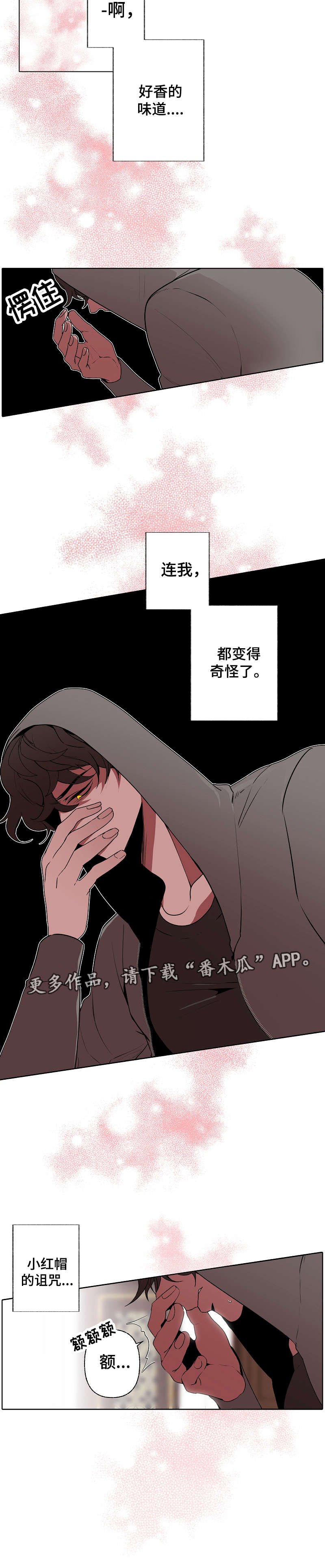 第41章：香味