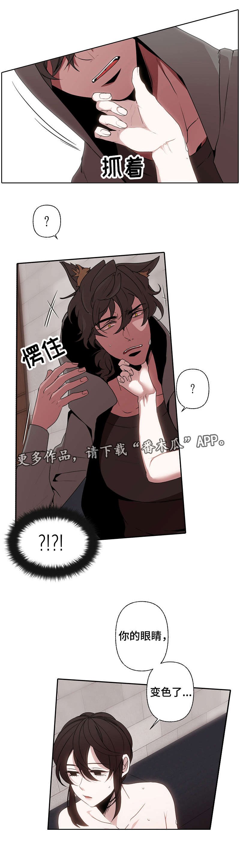 第41章：香味