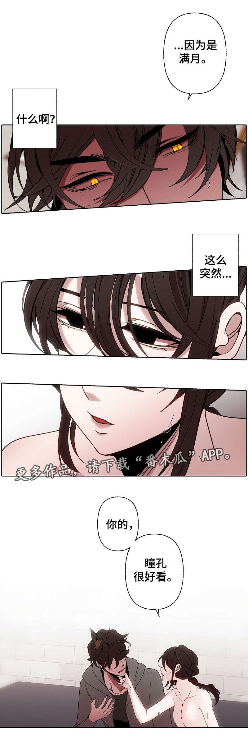 第41章：香味