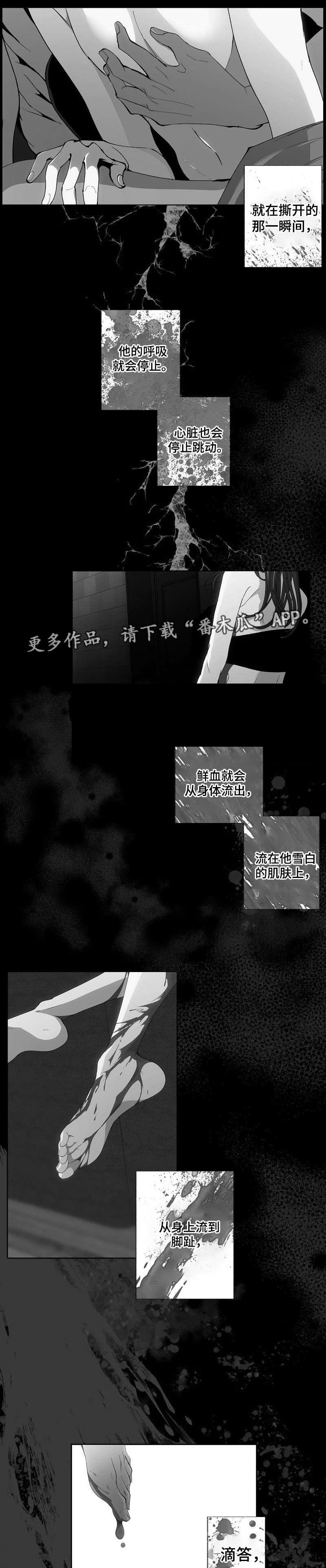 第43章：主动