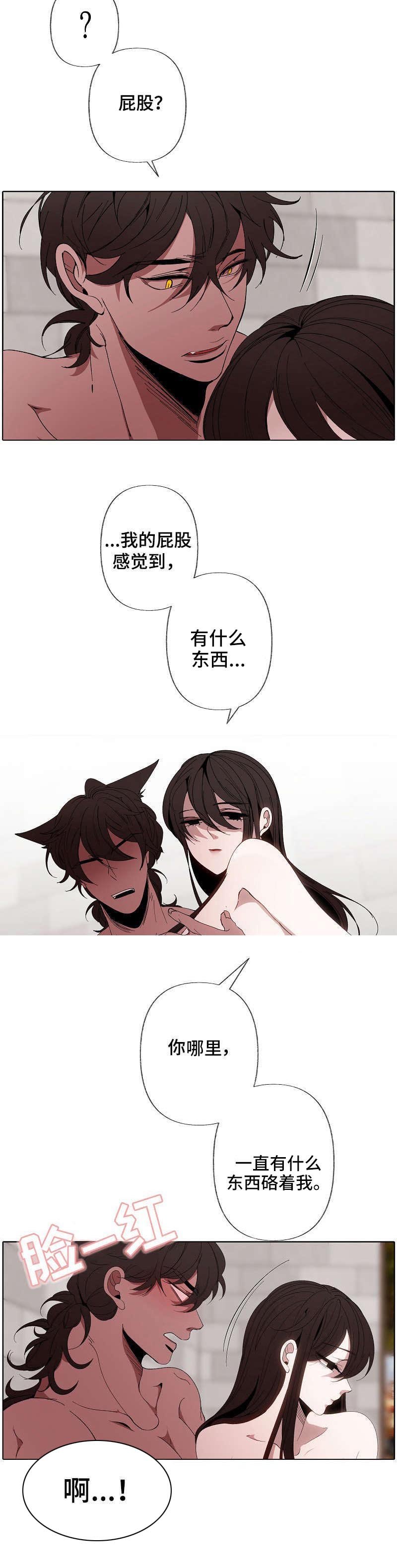 第44章：醒了