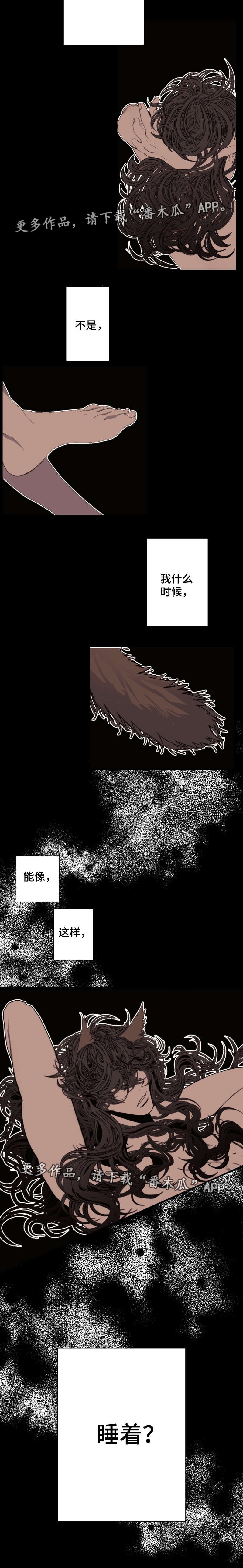 第52章：睡着