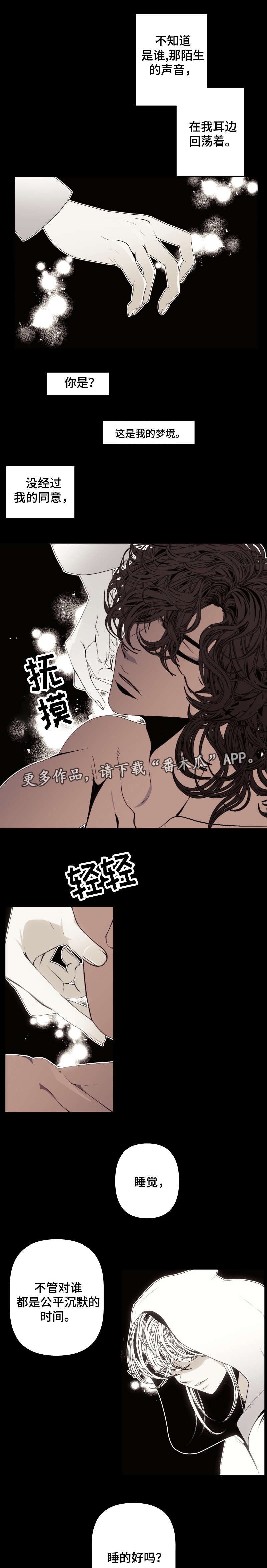 第53章：我的梦
