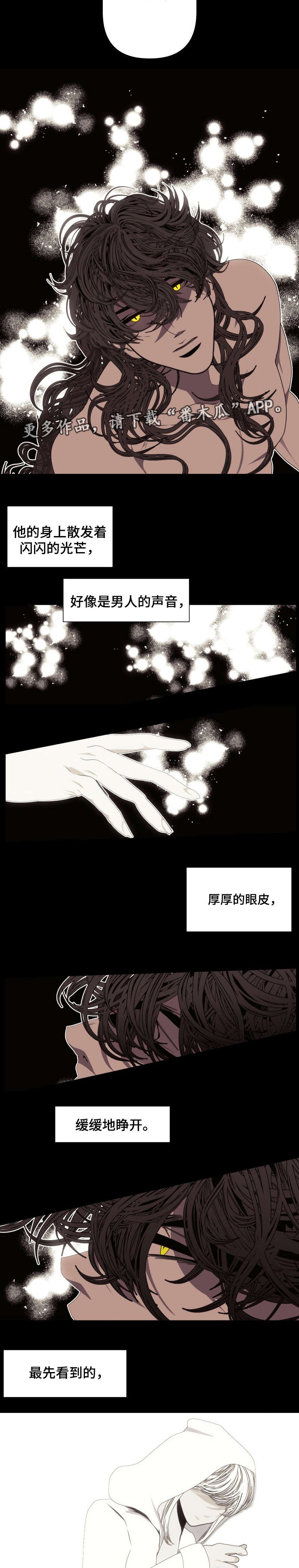 第53章：我的梦