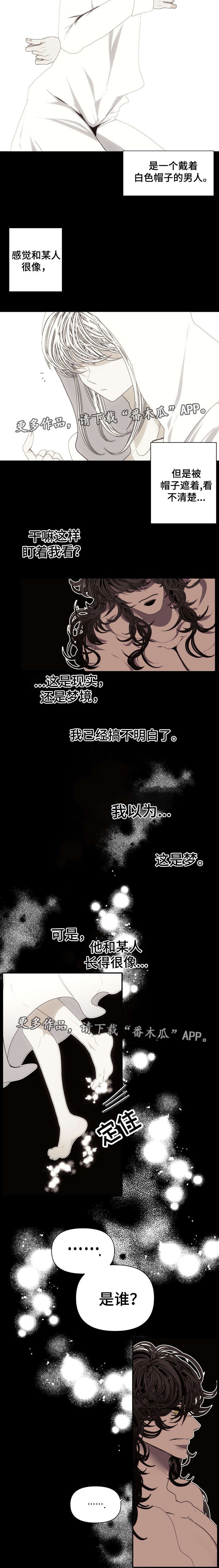 第53章：我的梦