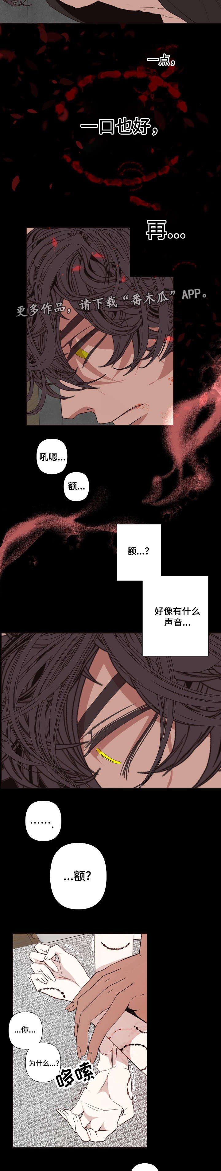 第60章：意义