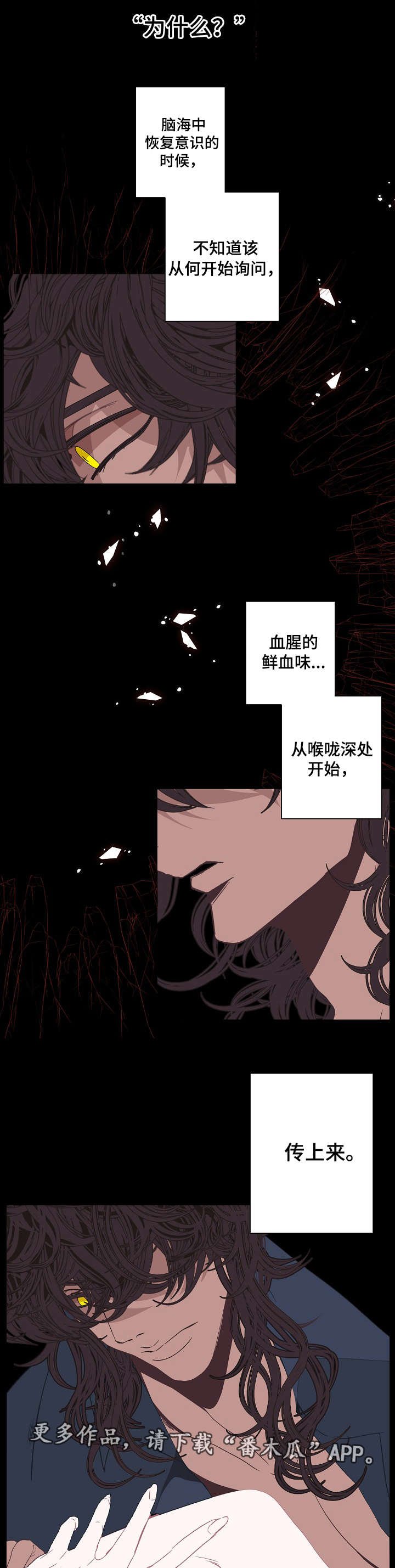 第60章：意义