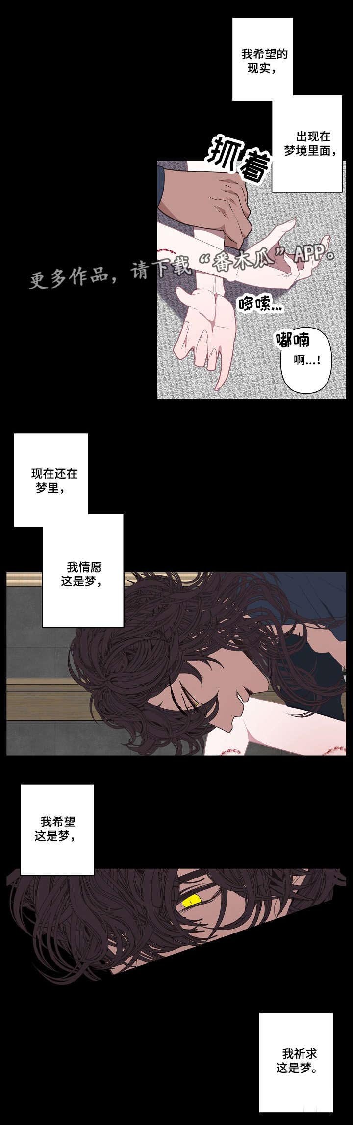 第61章：事实