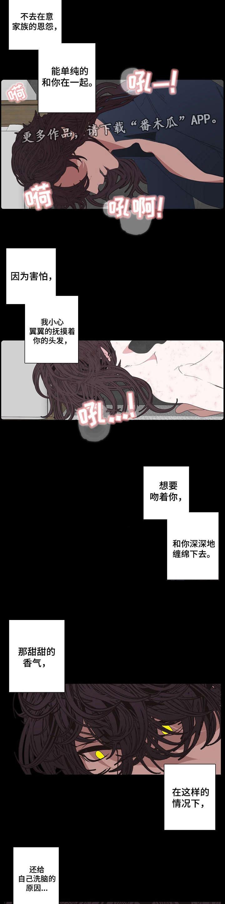 第61章：事实