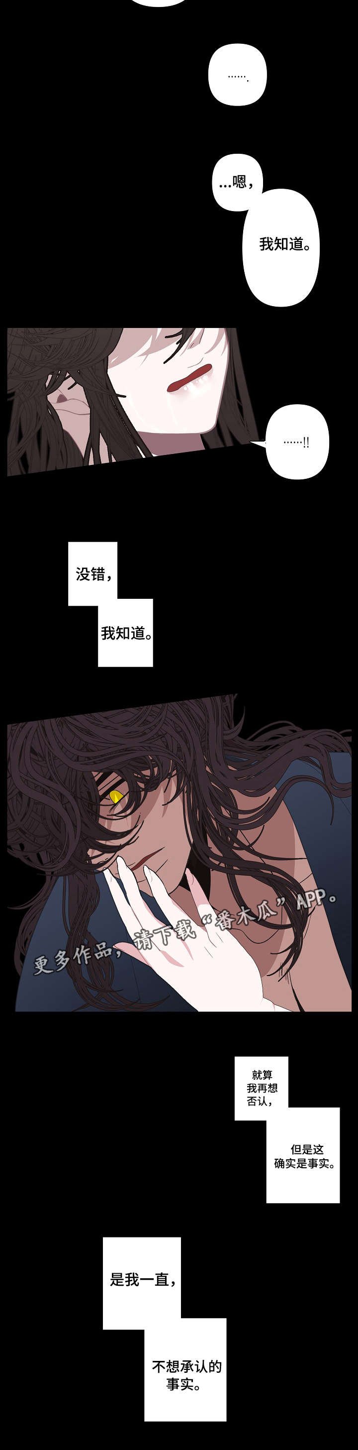 第61章：事实
